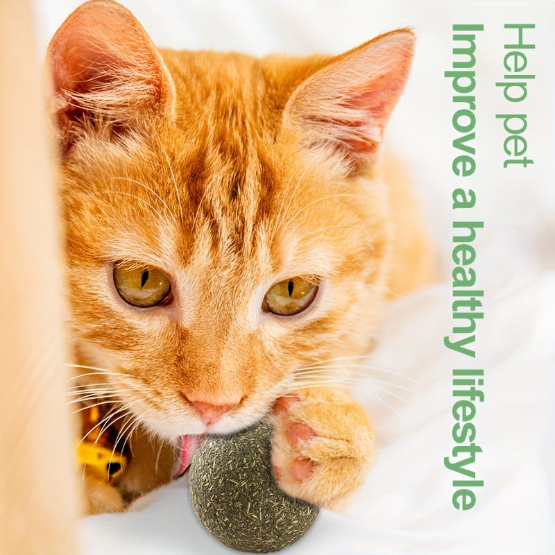 Catnip Silvervine Balls for Cats – 6pcs Extra Energy Interactive Cat Toy Balls, Natural Catnip & Silvervine Blend, Stress Relief & Enrichment for Indoor Cats