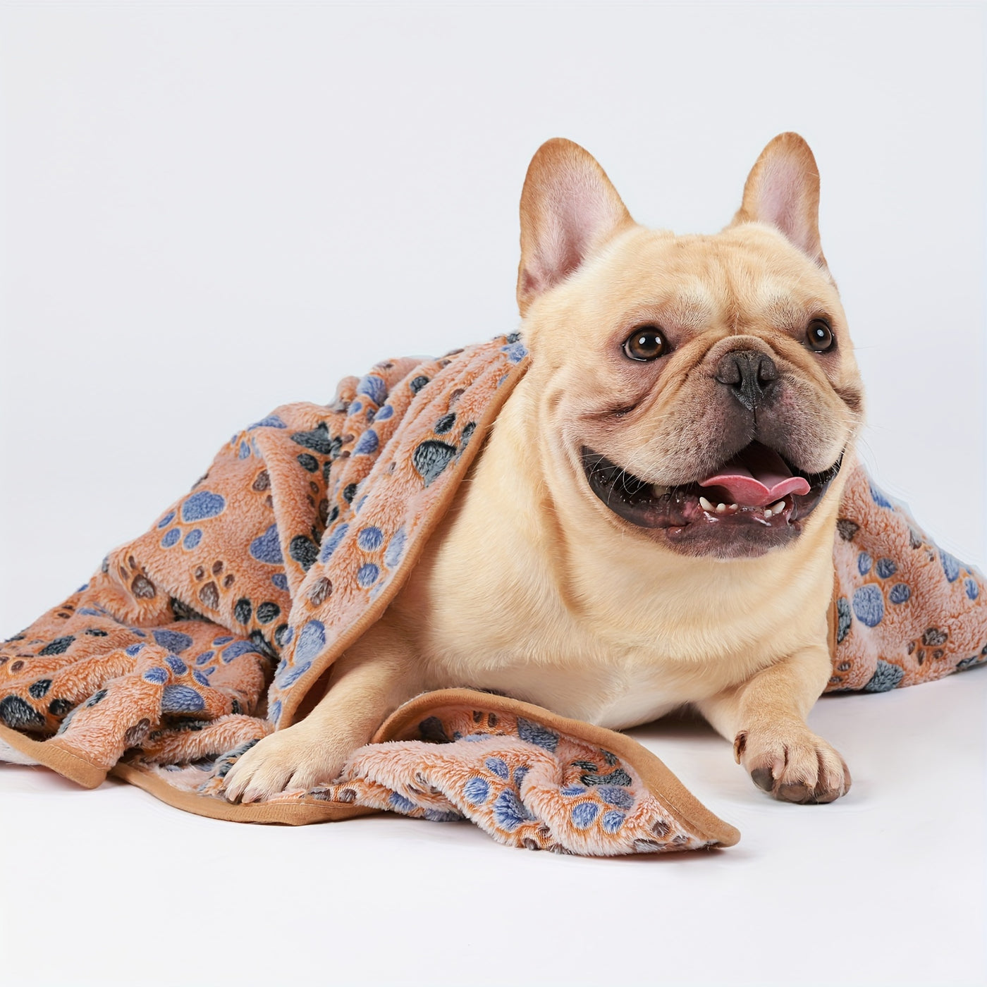 Fleece Pet Blanket 3 Pack with Free Drying Towel - Super Soft Flannel Throw for Dogs Puppies & Cats, Tear-Resistant Paw & Dot Print, Machine Washable, 20x16 & 23x16 Inch