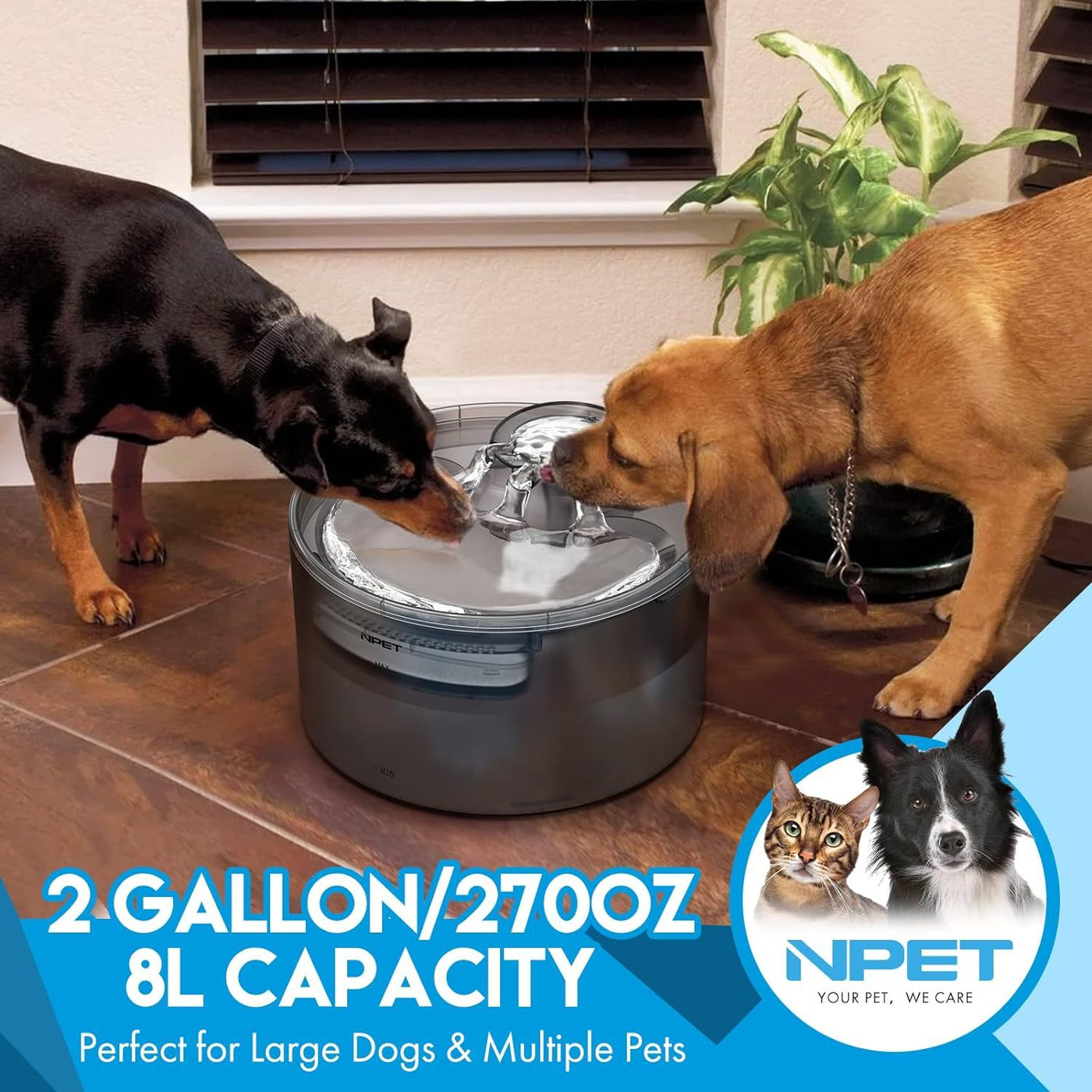 Large Dog Water Fountain 1.3-2 Gallon Triple Filtration Pet Drinking Fountain with Splatter Guard for Large Dogs & Multi-Pet Families