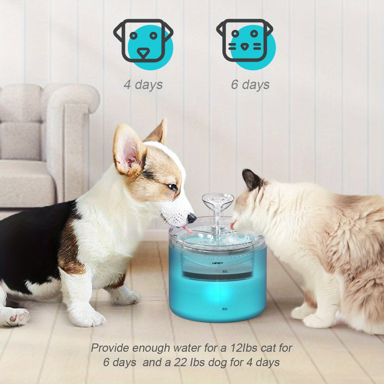 Cat Water Fountain 54oz Ultra Silent – LED Light USB Automatic Drinking Fountain with Triple Filter for Indoor Cats & Small Dogs