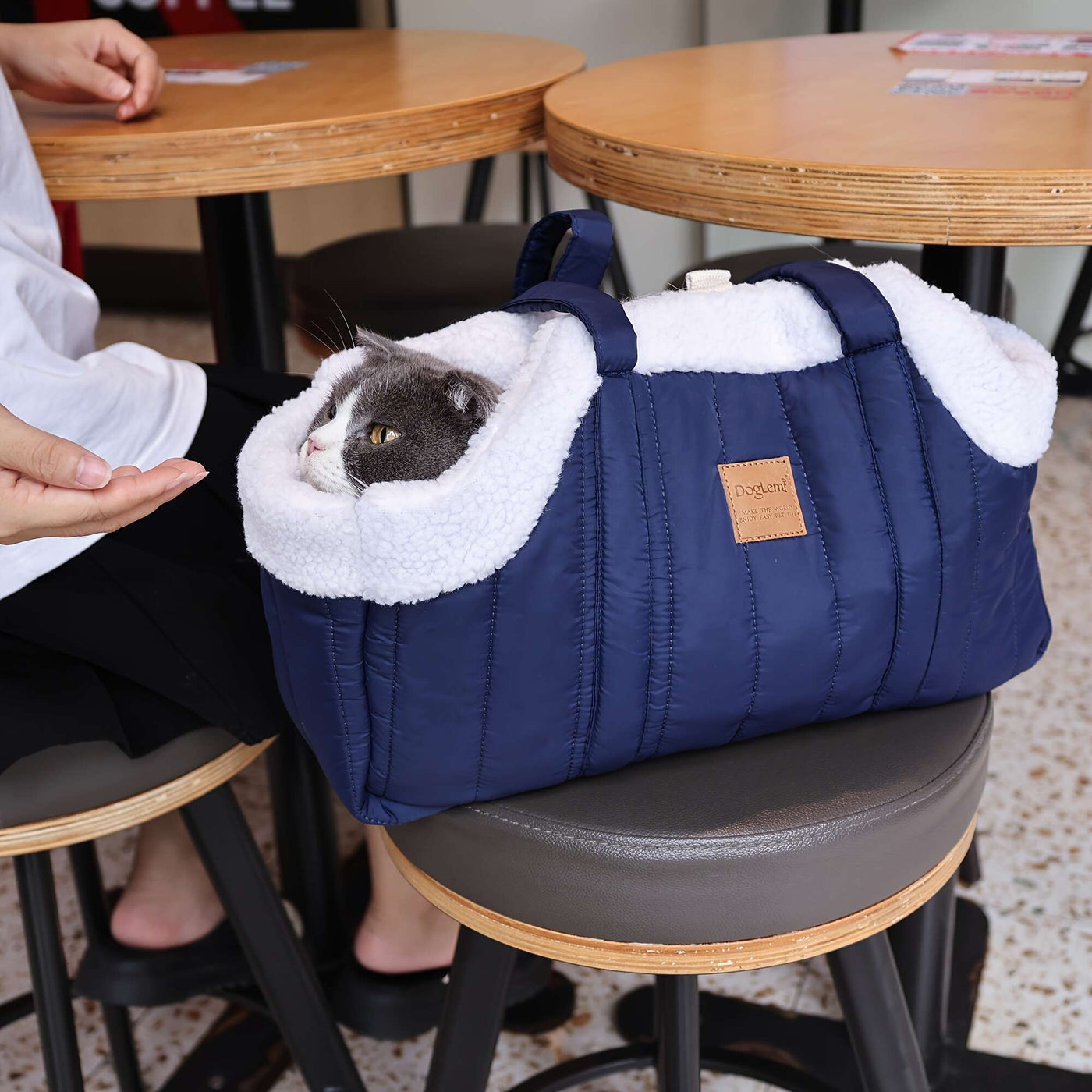Winter Pet Carrier Handbag Open Top – Cozy Snap Closure Small Dog & Cat Tote Bag for Cold Weather Outdoor Activities, Dark Blue Grey Green Beige