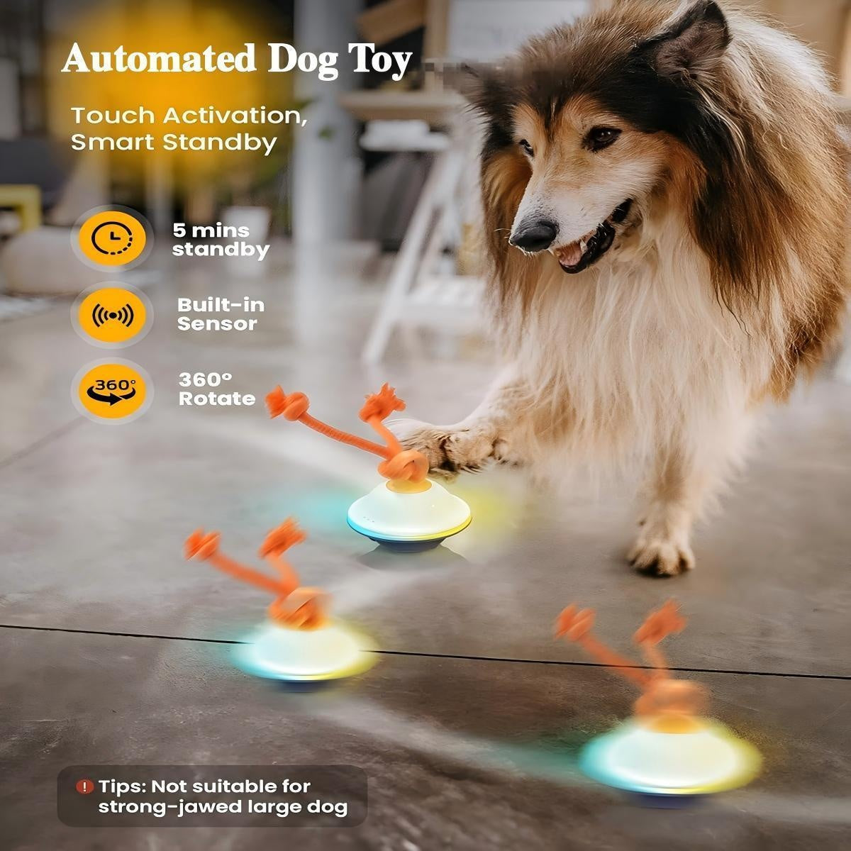 Automatic Rolling Dog Ball with Motion Sensor & Voice Recording – Interactive Rope Toy for Small & Medium Puppies, Outdoor Play, Crate Training & Teething | Green, White, Gray