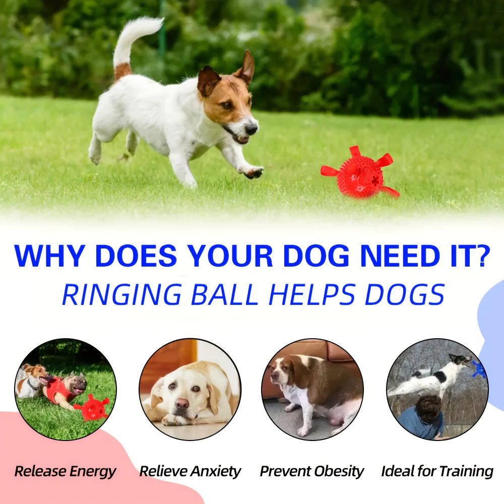 Dog Ball Toy for Small & Medium Dogs – Chew-Resistant Fetch & Training Ball, Independent Play, Shiba Inu Corgi Bulldog Golden Retriever, Blue or Orange