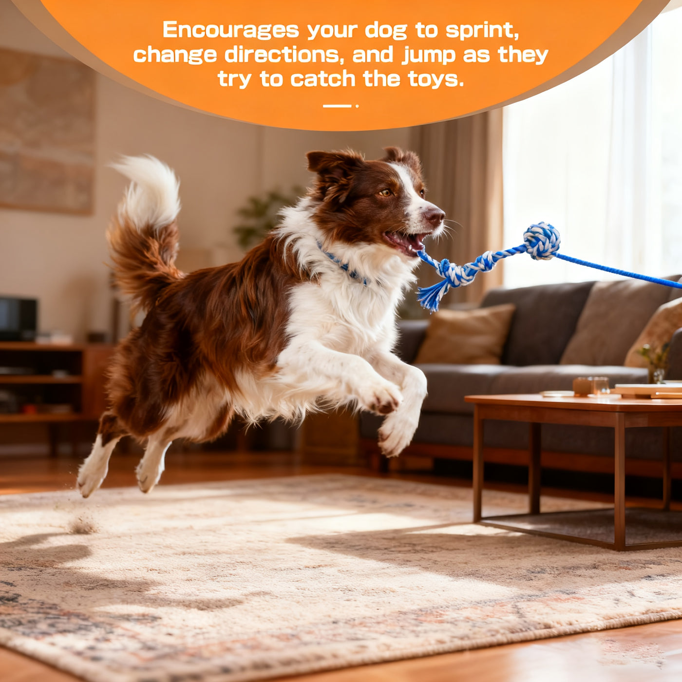 Dog Flirt Pole Telescopic Training Stick with Detachable Lure - Interactive Exercise Toy for Small Medium Large Dogs Agility Training