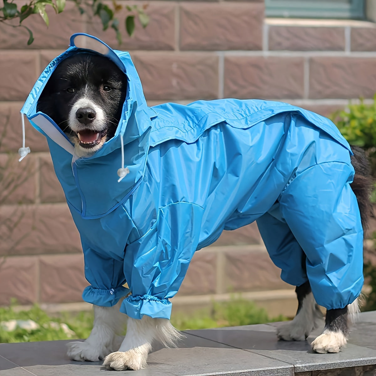 Dog Raincoat Full Body Coverage with Hood & Footies – Waterproof Polyester Rain Jacket for All Breeds, Hook-and-Loop Closure, Ideal for Small to Large Dogs, Blue