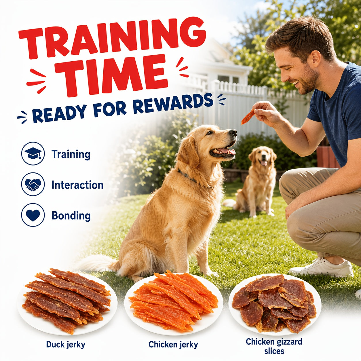 Duck & Chicken Dog Treats Variety – Chicken Egg Yolk Slices, Duck Roll Sweet Potato Chips & Duck Breast Jerky, High-Protein Easy-Digest Training Reward Snacks for Dogs