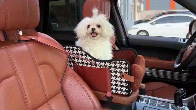 Center Console Dog Car Seat Booster – Portable Cozy Pet Car Seat for Small Dogs & Cats with Breathable Mesh Safety Harness Soft Padding, Universal Armrest Fit