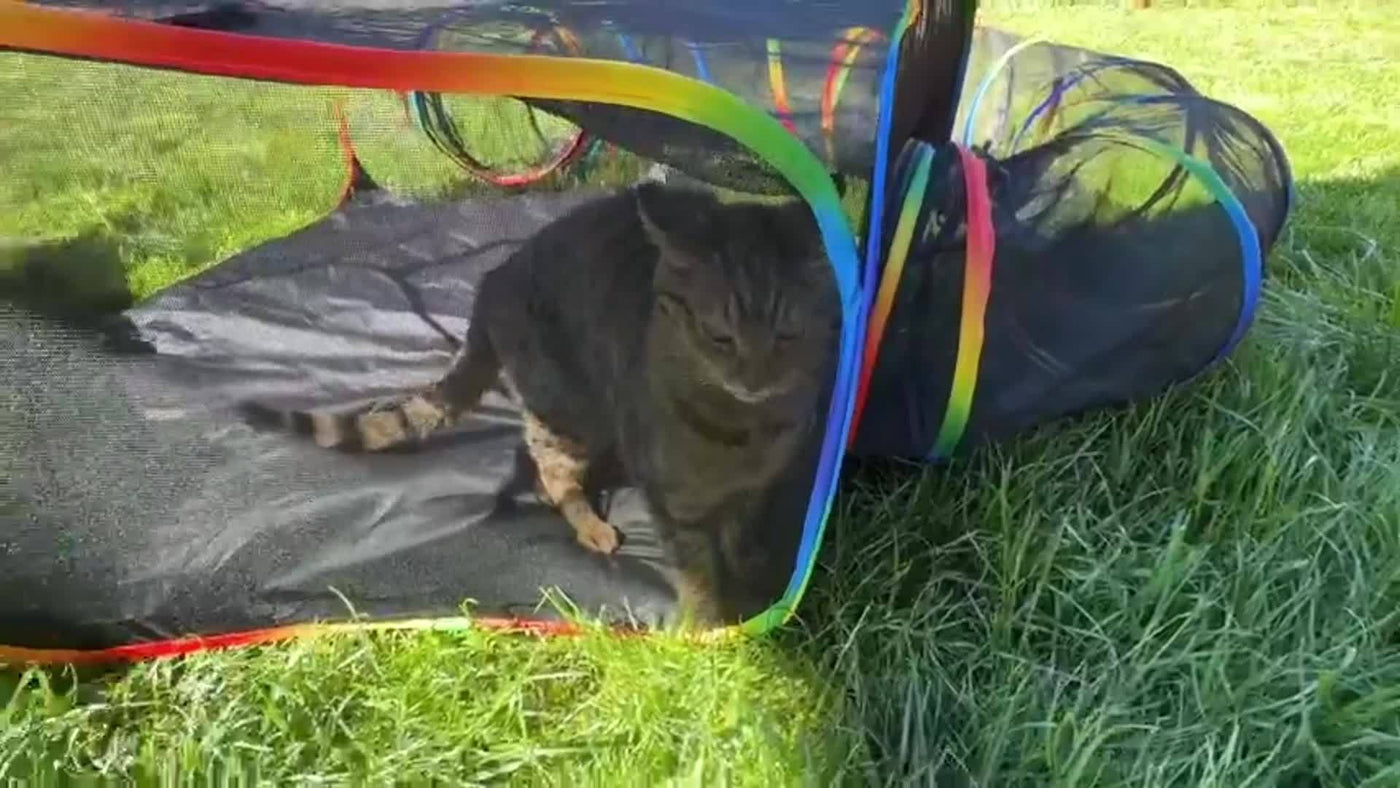 Outdoor Cat Tunnel Enclosure & Playpen – Rainbow Cat Tent with Circle Tunnel for Indoor Outdoor Cats, Portable Cat Playground for Kittens & Small Animals