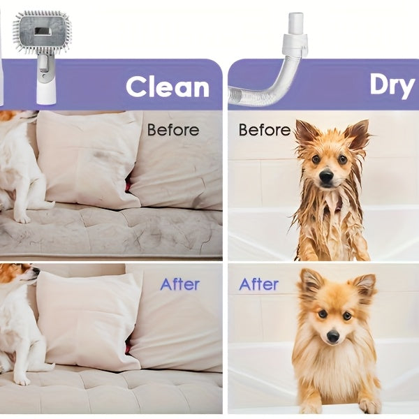 8-in-1 Pet Grooming Vacuum & Dog Hair Vacuum 12000Pa – Low Noise, 3 Suction Levels, 6 Grooming Tools, 74.39oz Large Dust Cup for Shedding Dogs & Cats | Orange & Purple