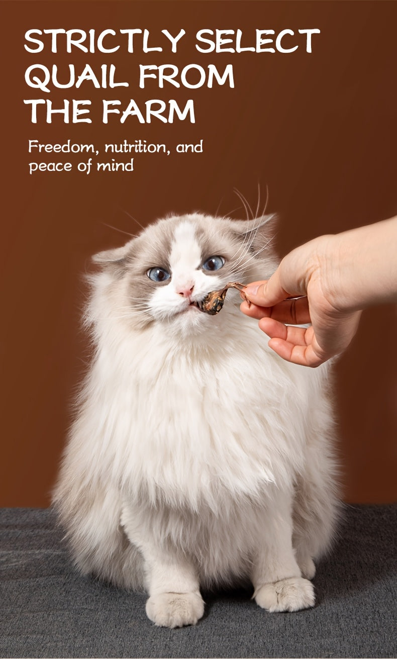 Freeze Dried Whole Quail Cat Treats Single Ingredient High-Protein Crunchy Raw Style Snack for Cats Dogs Kittens Training Reward Daily Feeding