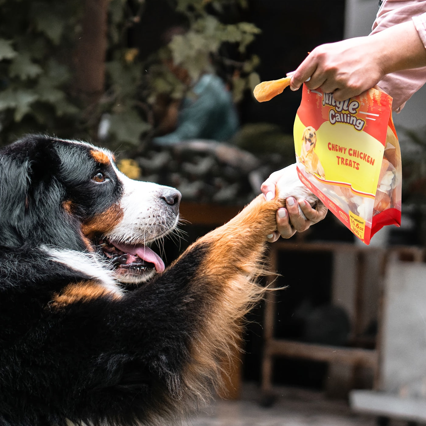 Chewy Chicken Dog Treats Rawhide Free Real Chicken Calcium Bone Cleans Teeth Freshens Breath Natural Dog Training Treat 21oz 31oz