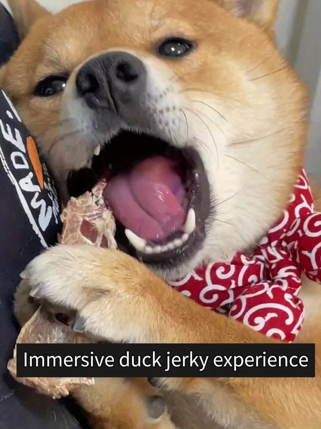Duck Jerky Dog Treats – Chewy Natural Duck Snacks for Training & Daily Rewards, High Protein Meat Treats for Puppies & Adult Dogs, Small Medium Large Breeds, 4oz / 7oz / 1.5lb