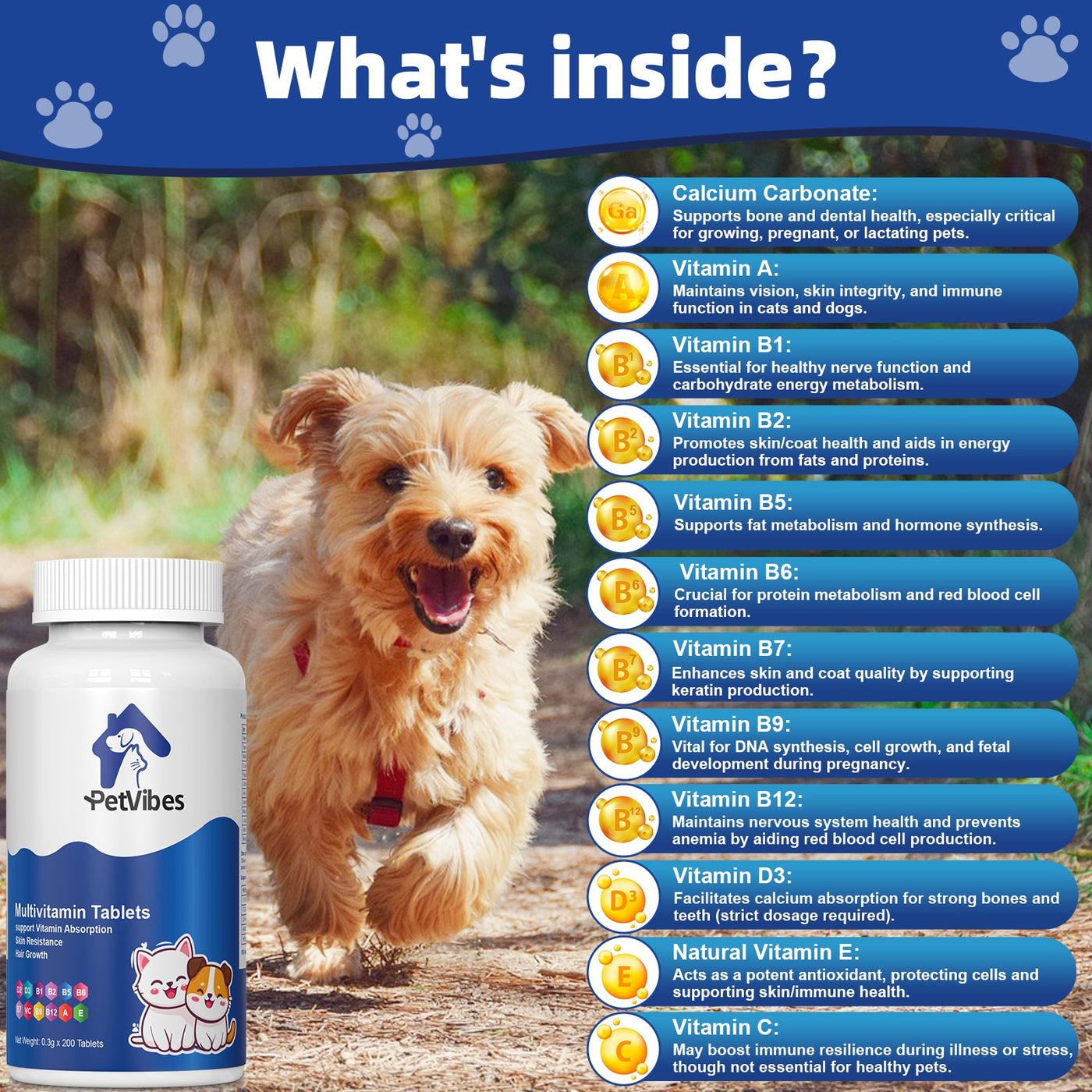 Senior Dog & Cat Multivitamin Supplement – 5-in-1 Amino Acid & Vitamin Formula for Aging Pets, Supports Immunity, Joints, Skin & Coat, Large Bottle