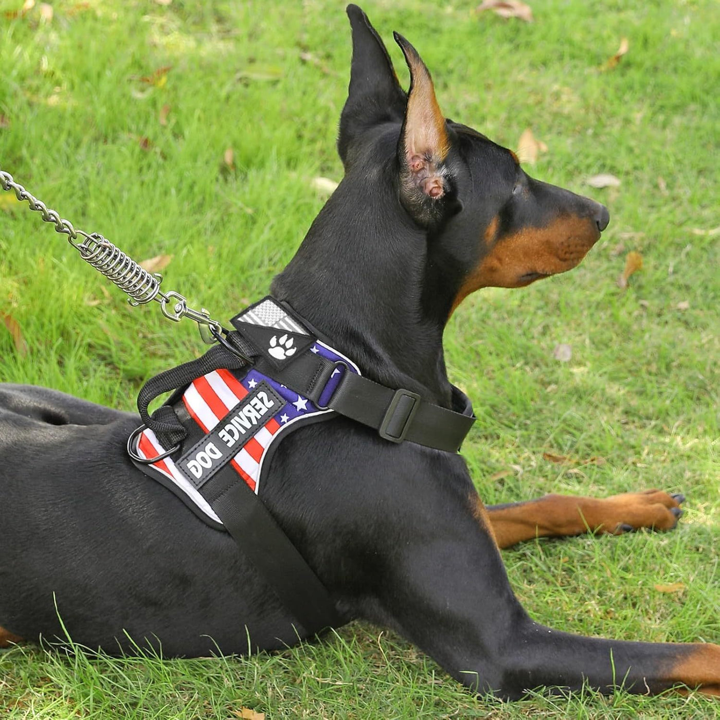 Reflective Dog Harness Set with 5 Interchangeable Patches - Adjustable Oxford Vest, Mesh Inner Layer, Front & Back Clip, Anti-Pull, XS to XL, 10 Color Options