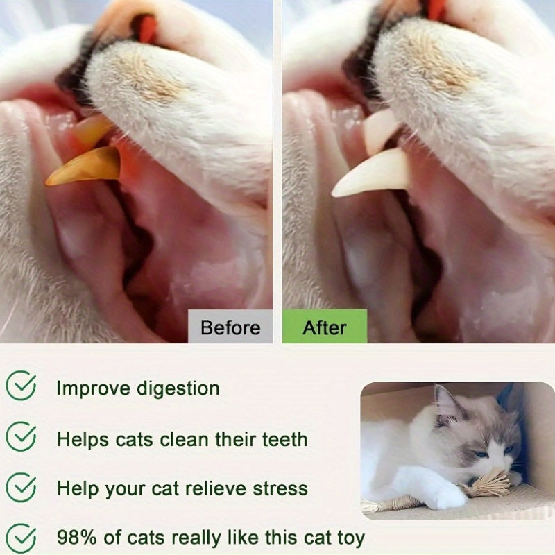 Silver Vine Sticks for Cats 12-Pack – Natural Herb Chewing Sticks for Cat Dental Care, Boredom Relief & Entertainment – Better Than Catnip