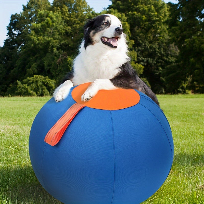 Dog Ball Toy for Small & Medium Dogs – Chew-Resistant Fetch & Training Ball, Independent Play, Shiba Inu Corgi Bulldog Golden Retriever, Blue or Orange