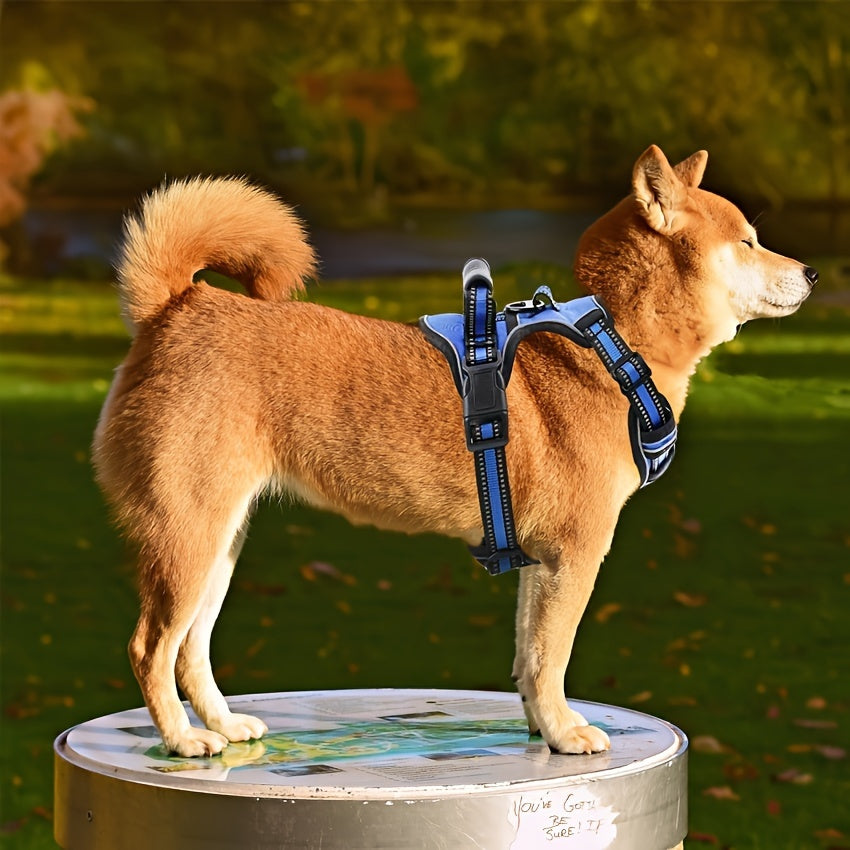 No-Pull Dog Harness Reflective Oxford Vest with 2 Leash Clips & Easy Control Handle – Adjustable No-Choke Pet Harness for Small, Medium & Large Dogs, XS-XL