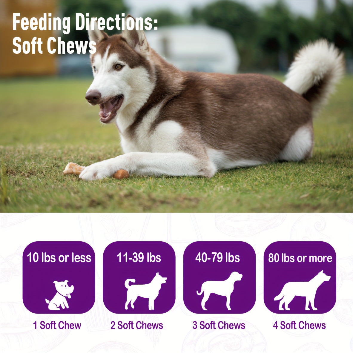 Probiotic & Digestive Enzyme Chews for Dogs – Gut Health, Skin Sensitivity Support & Prebiotics, Soft Chew Supplement, 30 or 120 Count