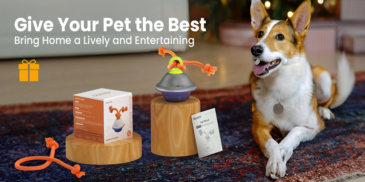 Automatic Rolling Dog Ball with Motion Sensor & Voice Recording – Interactive Rope Toy for Small & Medium Puppies, Outdoor Play, Crate Training & Teething | Green, White, Gray