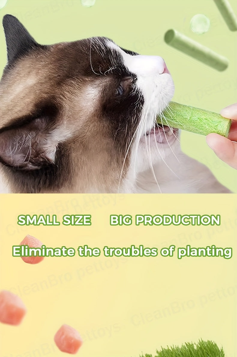 Cat Grass Sticks for Hairball Control – Freeze-Dried Catnip Treats with Instant Granules & Hair Cream Tablets for Indoor Cats | 15pcs / 3x5pcs Pack