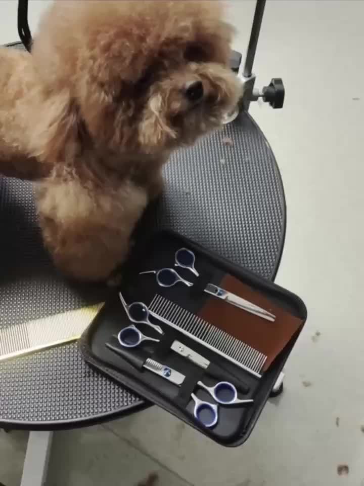 6-in-1 Dog Grooming Scissors Set Titanium Coated – Professional 4CR Stainless Steel with Safety Round Tips for Dogs, Cats & Small Animals | Universal Hand, 6pcs