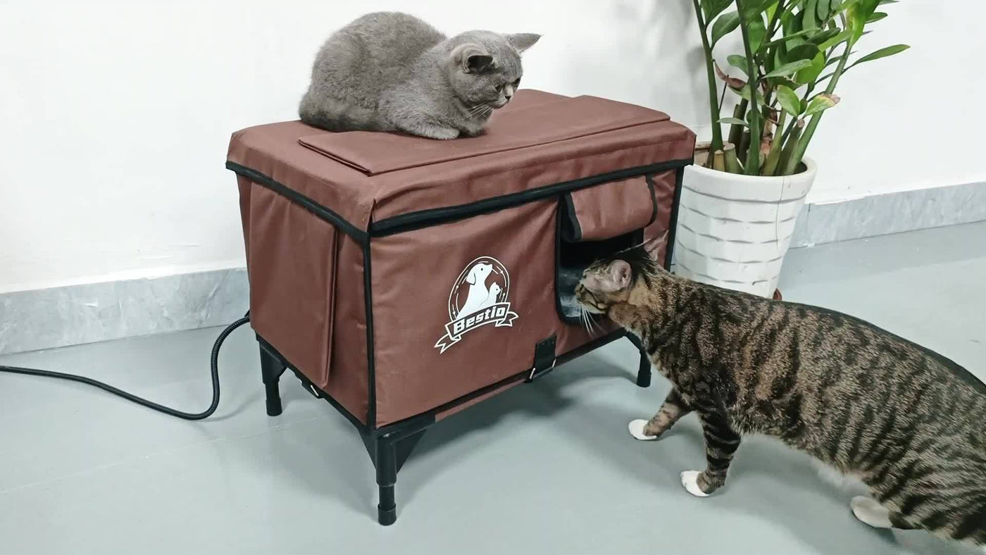 Heated Cat House Outdoor Indoor 3-in-1 with Removable Warming Pad - Elevated Cat Shelter, Chew-Resistant Cord, All-Season Cat Cave for Cats Kittens Small Dogs, Small & Large Sizes