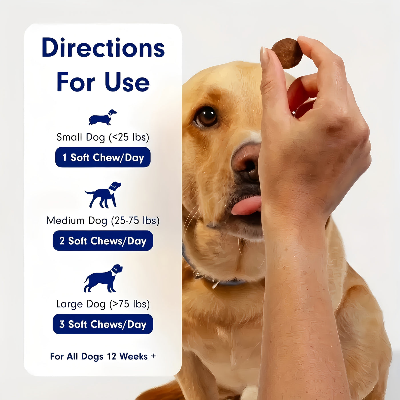 Probiotics for Dogs Gut & Digestive Health – Seafood Flavor Soft Chewable Tablets, 60pcs, Daily Nutritional Supplement, 2-Pack Value