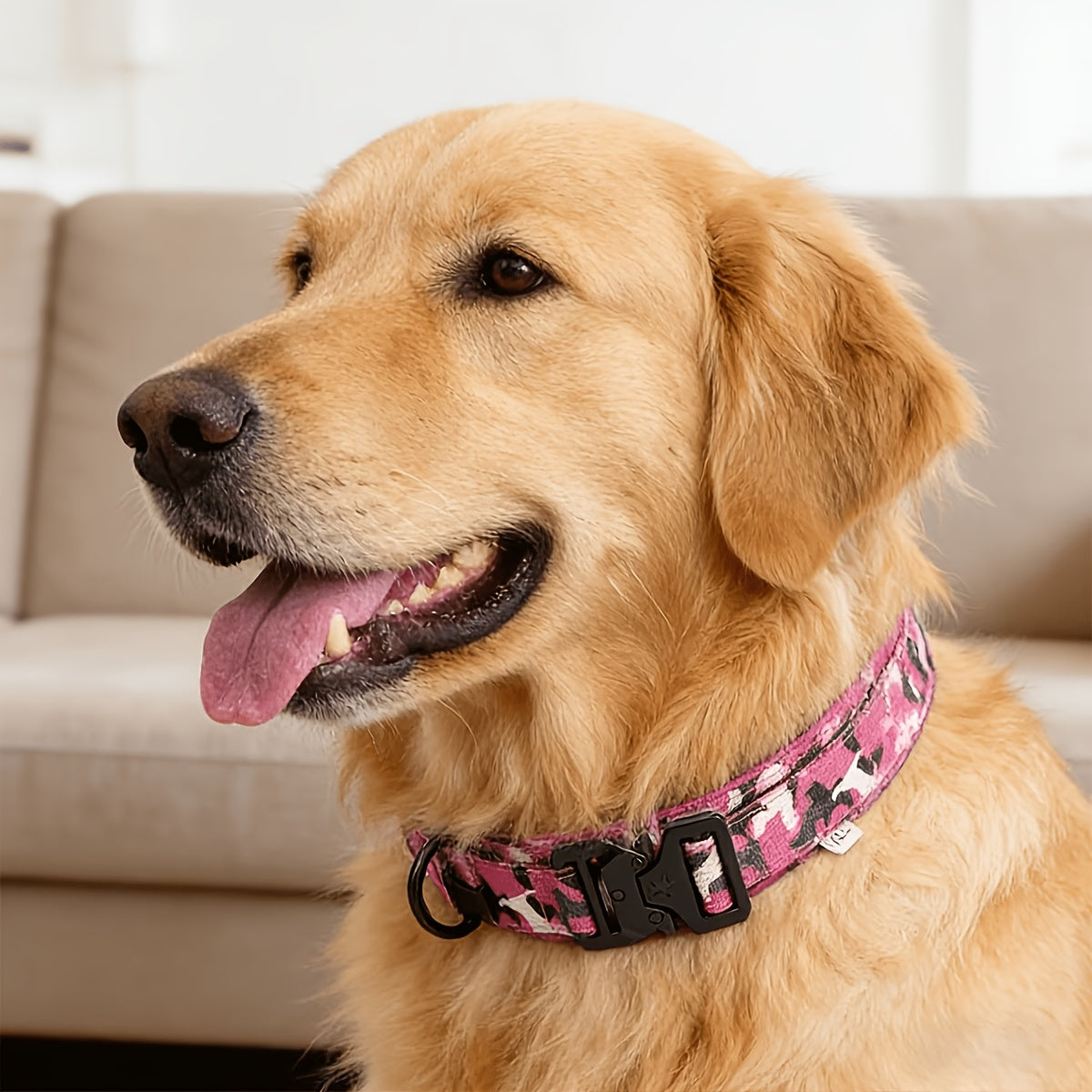 Heavy Duty Tactical Dog Collar with Handle & Quick-Release Metal Buckle - Wide Nylon Collar for Medium & Large Dogs, M/L/XL, Training Outdoor Agility Search Rescue