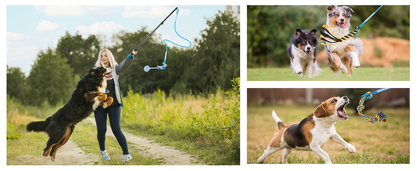 Dog Flirt Pole Telescopic Training Stick with Detachable Lure - Interactive Exercise Toy for Small Medium Large Dogs Agility Training
