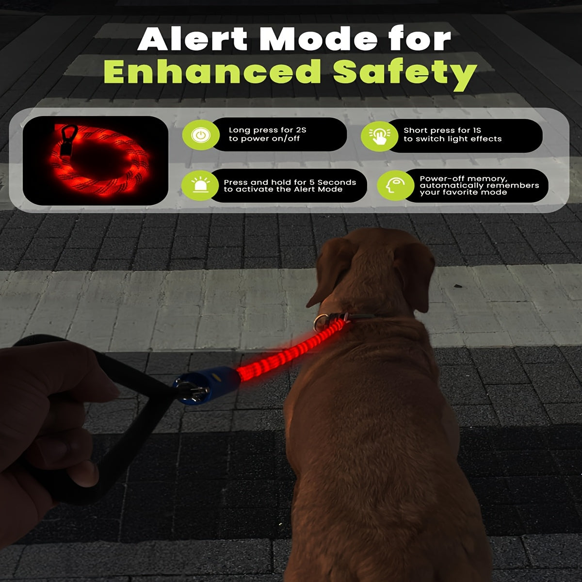 LED Light Up Dog Leash 4Ft Rechargeable with 13 Lighting Modes & Tangle-Free Hook for Night Walking - Glow in the Dark Safety Leash for Small Medium Large Dogs