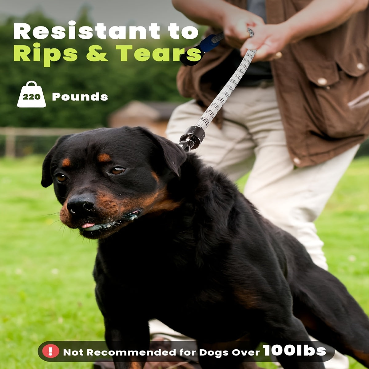 LED Light Up Dog Leash 4Ft Rechargeable with 13 Lighting Modes & Tangle-Free Hook for Night Walking - Glow in the Dark Safety Leash for Small Medium Large Dogs