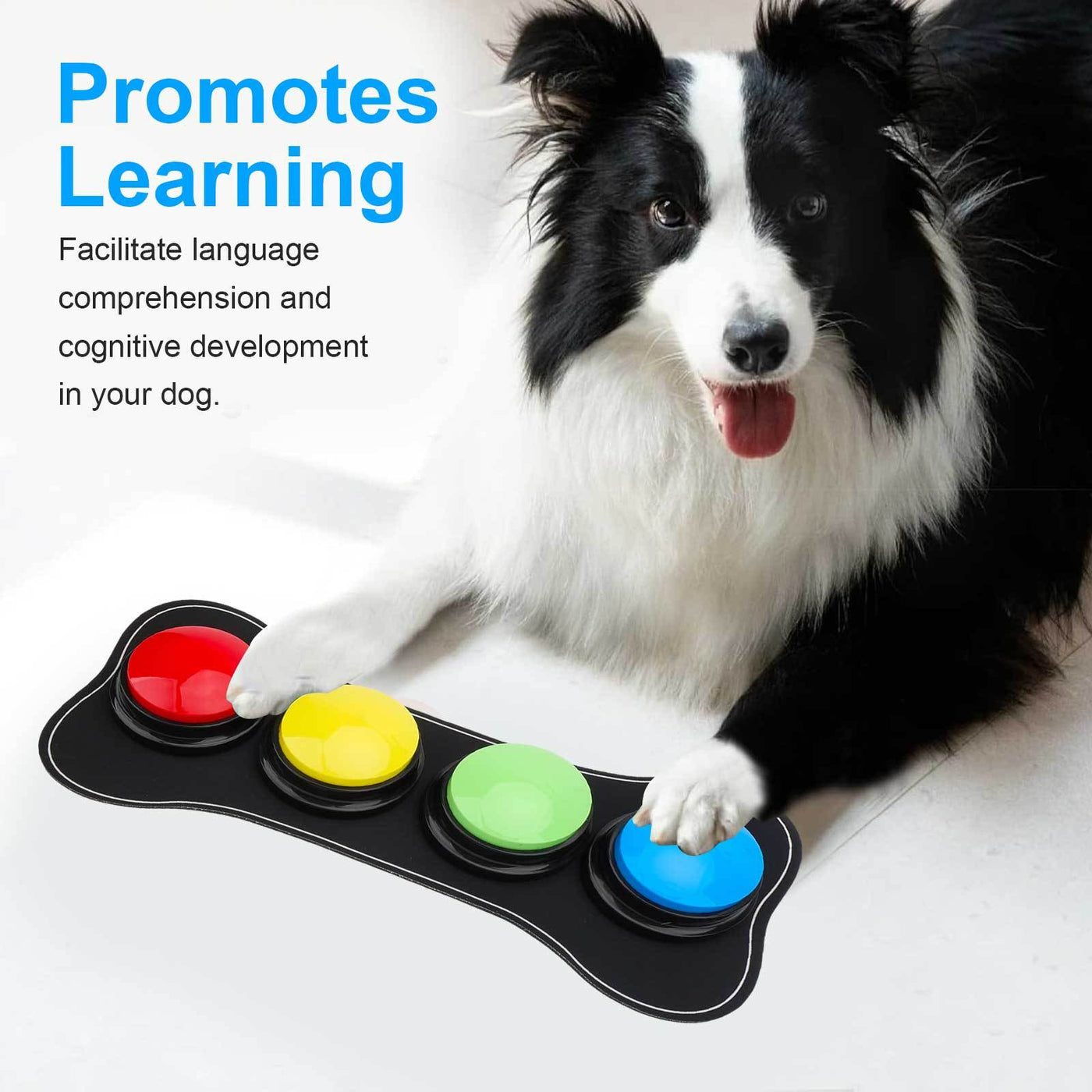 Dog Talking Buttons with Recordable Voice for Training & Communication - Interactive STEM Learning Toy for Dogs & Puppies to Press & Speak Basic Commands at Home