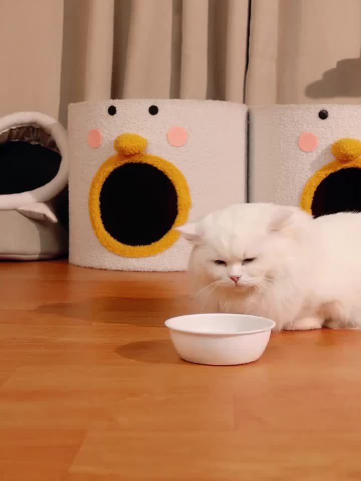 Automatic Cat Feeder Dual Function Food & Water Portion Dispenser - Cute Gravity Feeding Station for Cats Healthy Diet