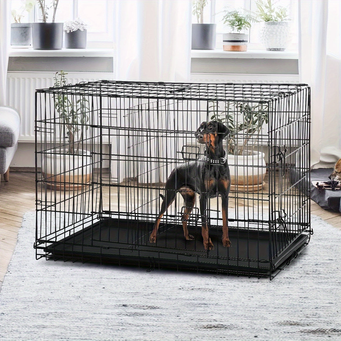 Folding Metal Dog Crate 42 & 48 Inch – Double Door Wire Dog Cage with Divider & Leak-Proof Tray for Puppies, Medium & Large Dogs, Indoor & Outdoor