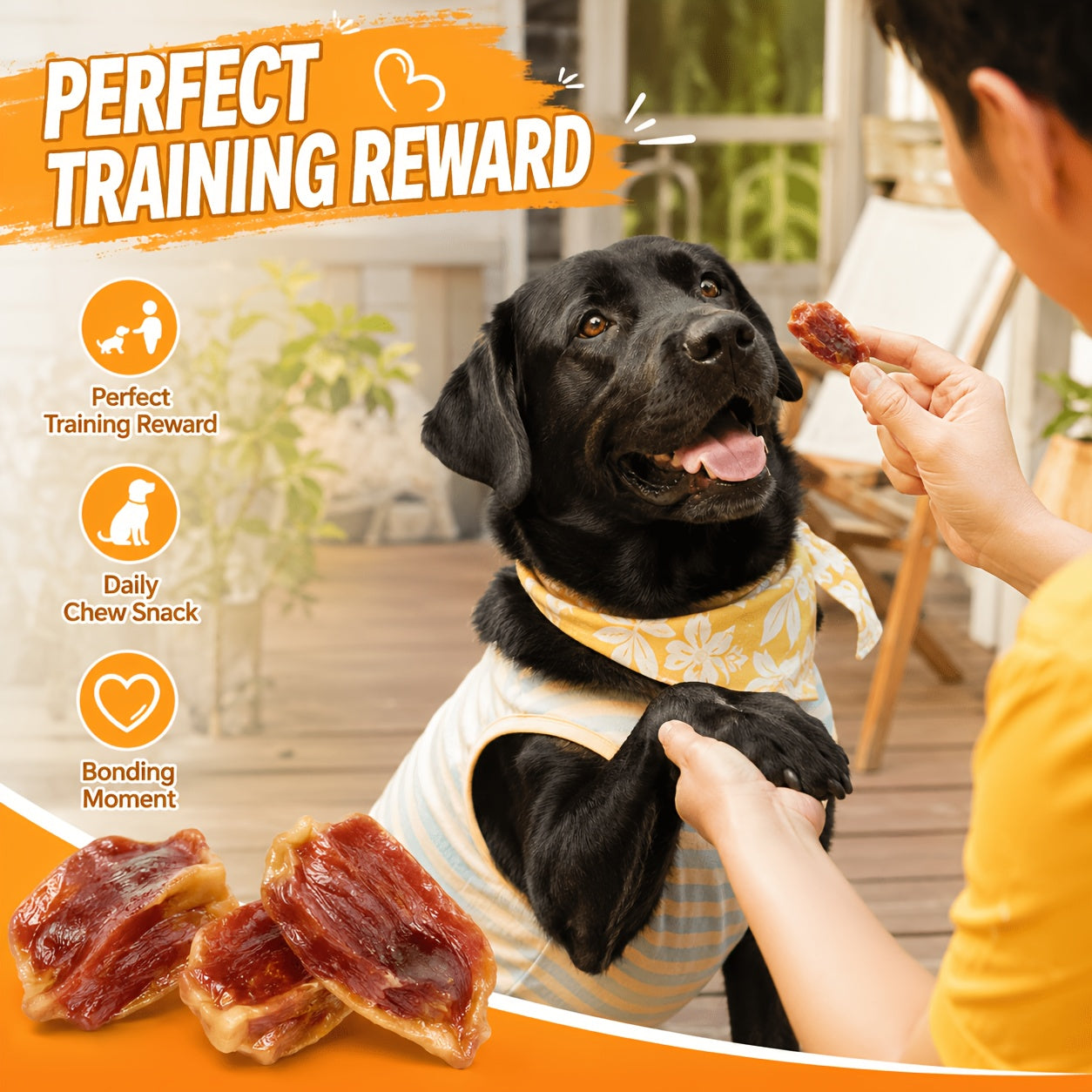 Chicken Gizzard Jerky Dog Treats – Chewy Sliced Chicken Snacks for Training, Travel & Everyday Rewards, High Protein Natural Dog Treats for All Breeds