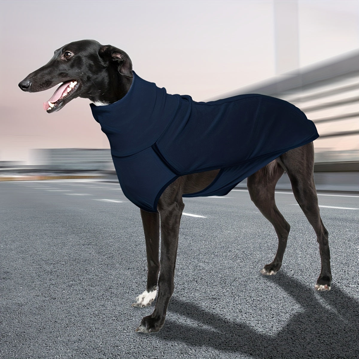 High Neck Dog Coat – Warm Solid Color Woven Polyester Pullover for Small Medium Large Dogs, Machine Washable All-Season Fall Winter Pet Clothing, XL to 4XL