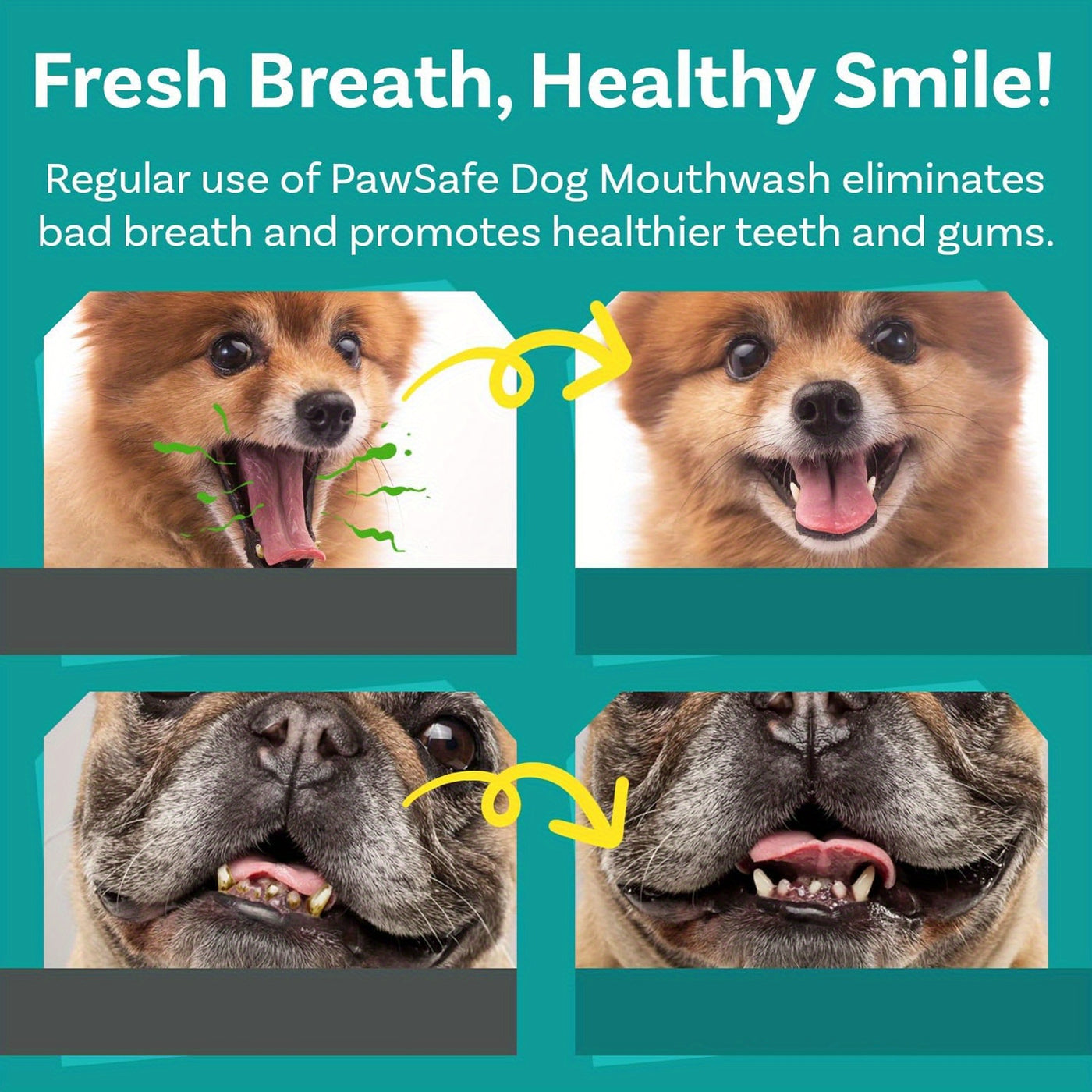 Dog Mouthwash for Fresh Breath 100ml – Peppermint Natural Dental Water Additive Oral Care Liquid for Dogs