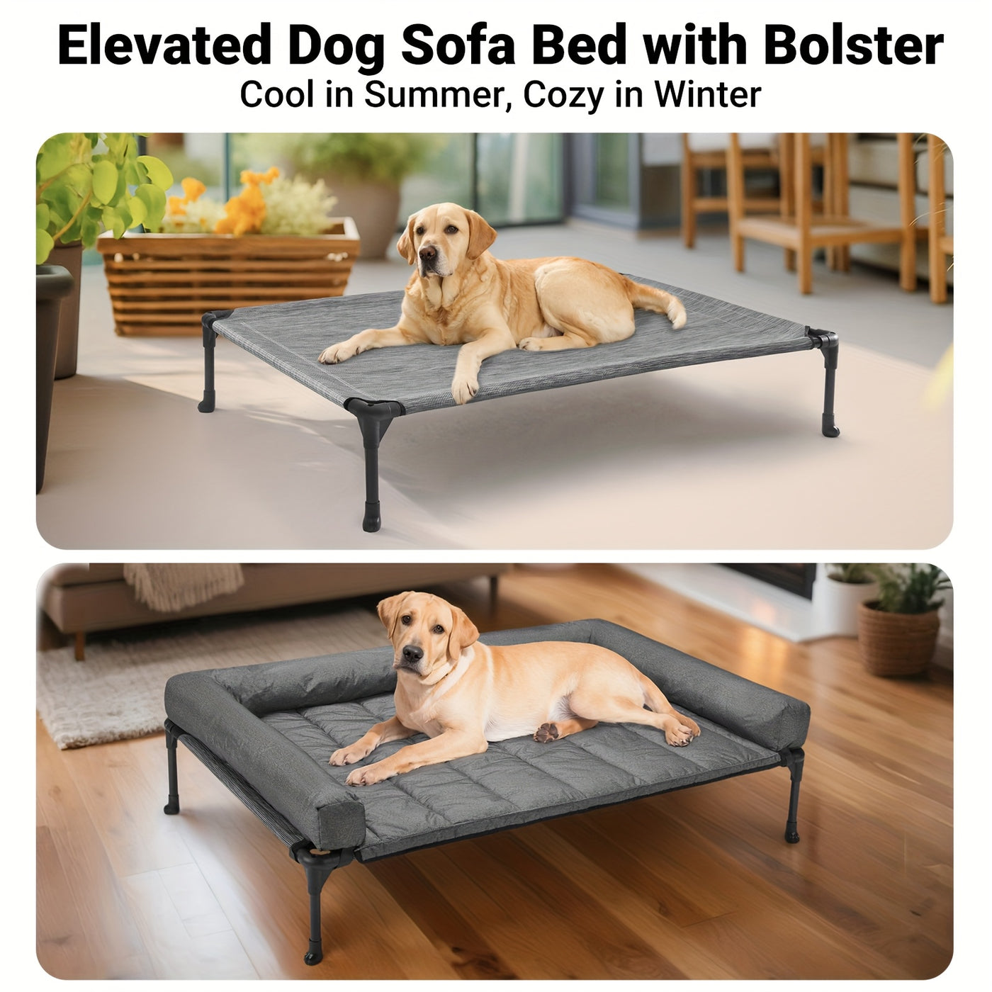 Elevated Cooling Dog Bed with Removable Pillow-Top Bolster Mat - Raised Dog Cot, Breathable Mesh, No-Slip Feet, Steel Frame, Indoor & Outdoor, 4 Sizes, 5 Colors