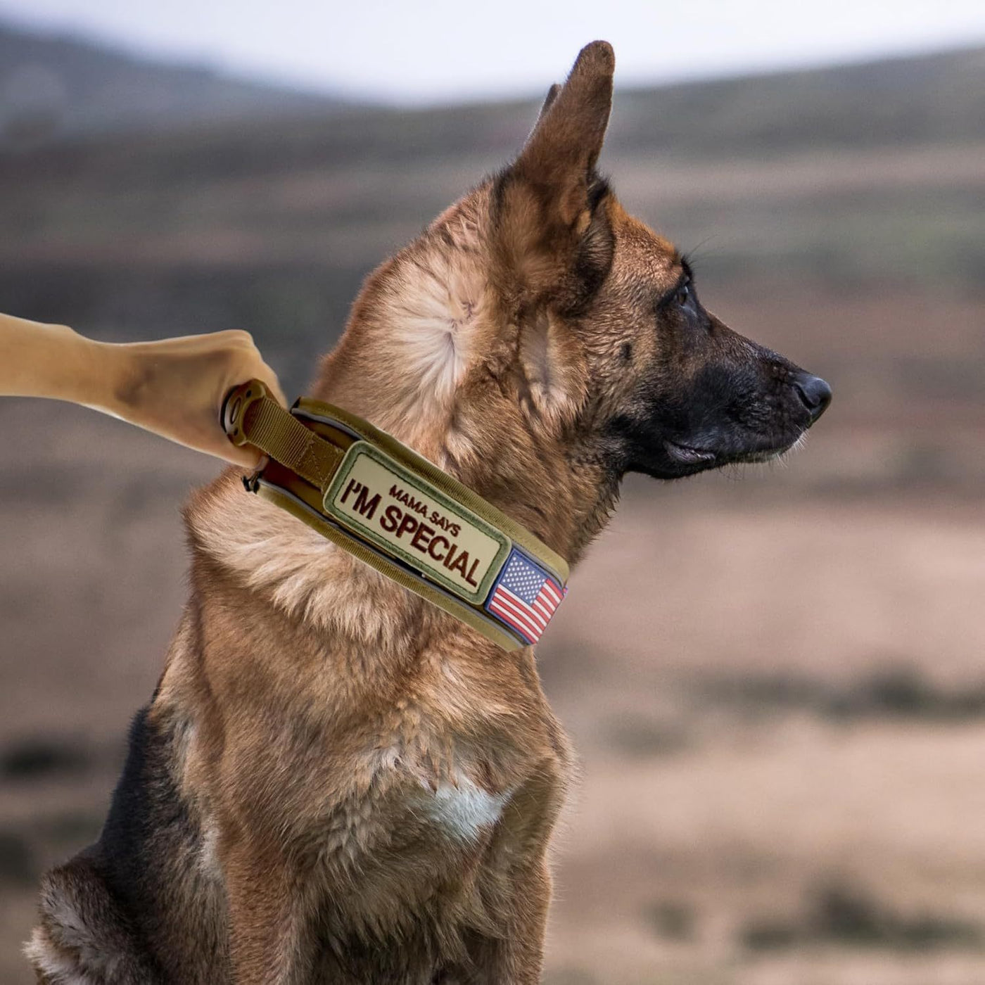 Tactical Dog Collar 3pcs Set 2.6" Heavy Duty Nylon with Padded Handle & Reflective Stitching for Medium & Large Dogs – Quick-Release Metal Buckle, Customizable Patches, Sizes M-XL