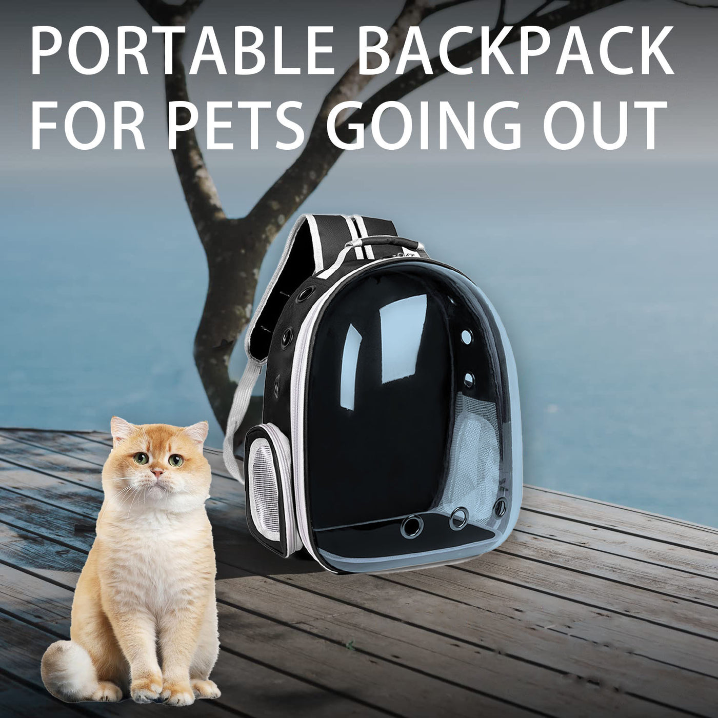 Cat Backpack Transparent Space Capsule – Portable Breathable Pet Carrier Bag for Cats & Small Dogs, Airline-Style Travel Bag for Going Out, Bonus Pet Accessories Included