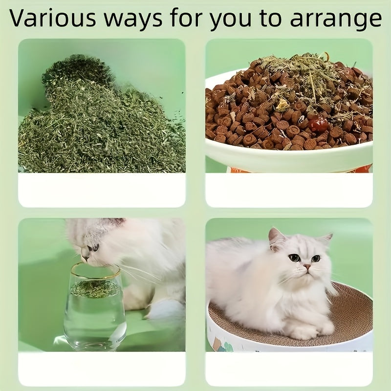 Catnip Leaves Cat Treats 100g – Hairball Control Digestive Support and Stress Relief for Cats