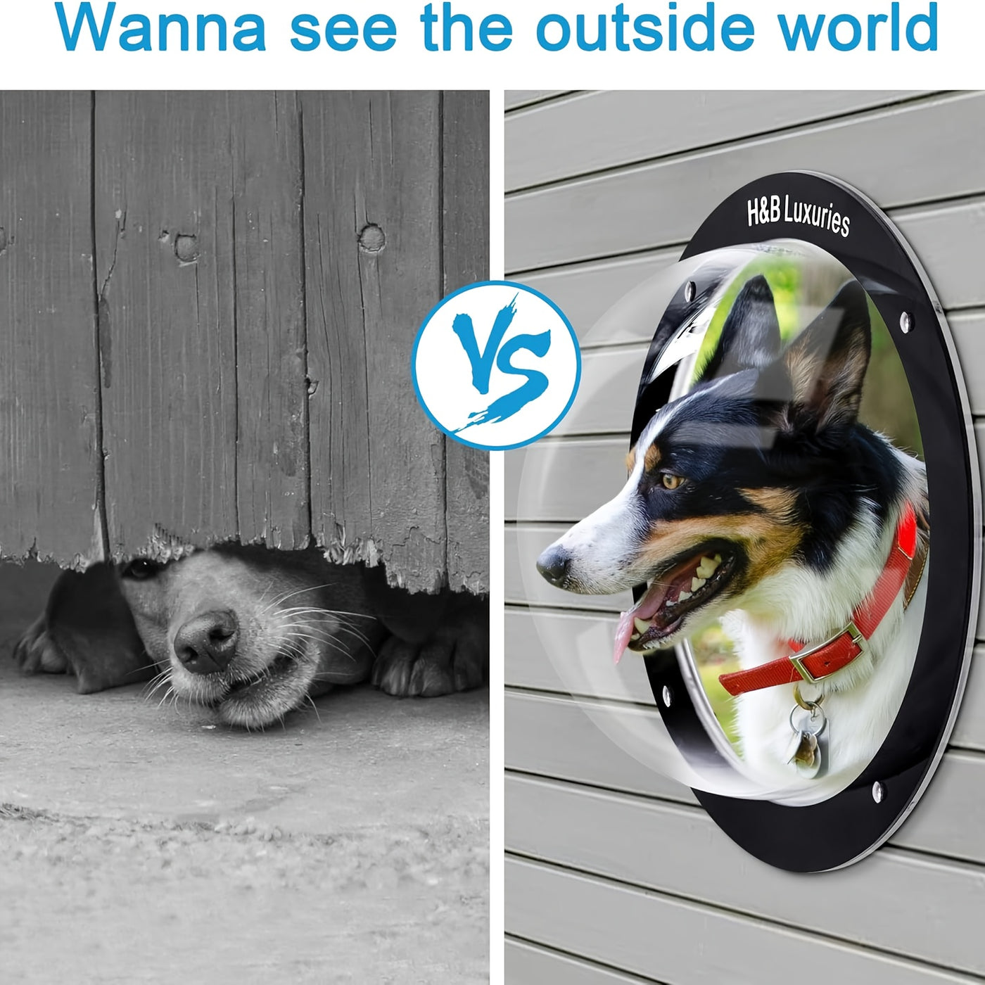 Acrylic Dome Dog Fence Window – Clear Pet View Window for Yard Fence, Lets Dogs See Outside, Durable Plastic Dog Window for Wood & Chain Link Fences, Indoor & Outdoor