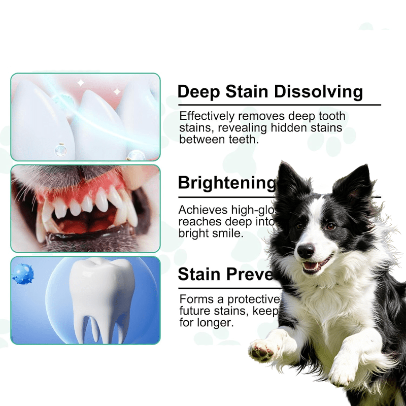 Dog Dental Cleaning Treats with Probiotics & Brown Algae – Targets Plaque & Bad Breath, Lactobacillus, Bifidobacterium, Spinach & Perilla Seed Extract Formula