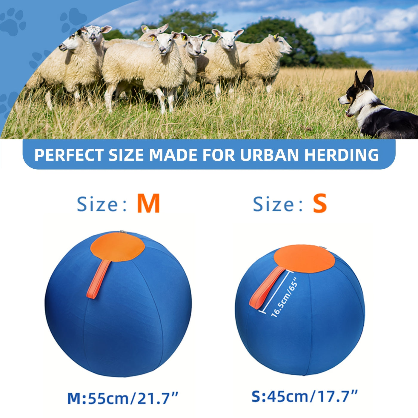 Dog Ball Toy for Small & Medium Dogs – Chew-Resistant Fetch & Training Ball, Independent Play, Shiba Inu Corgi Bulldog Golden Retriever, Blue or Orange