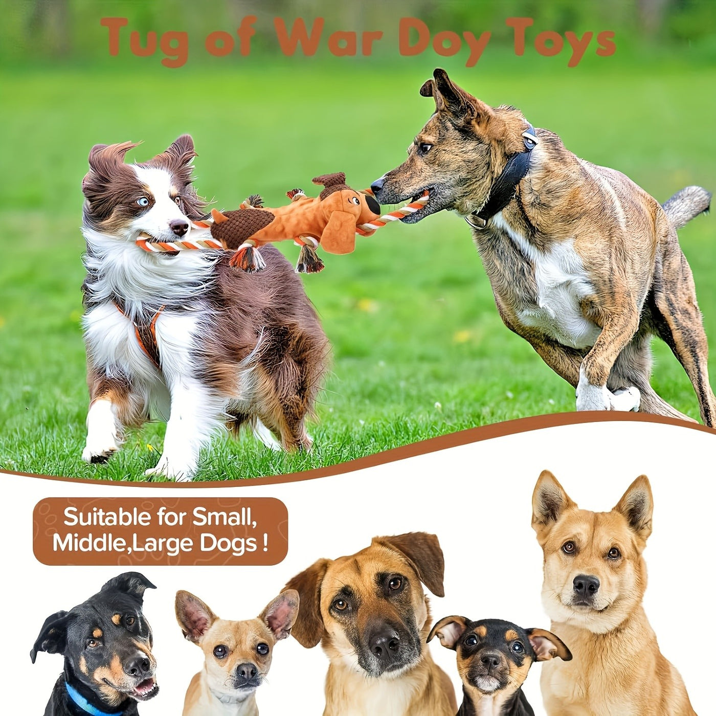 Squeaky Plush Dog Toys with Rope – Interactive Tug of War Toy for Small Medium Large Dogs, Crinkle Stuffed Animal Dog Toy, Aggressive Chewer Safe, Lion Bear Leopard Styles