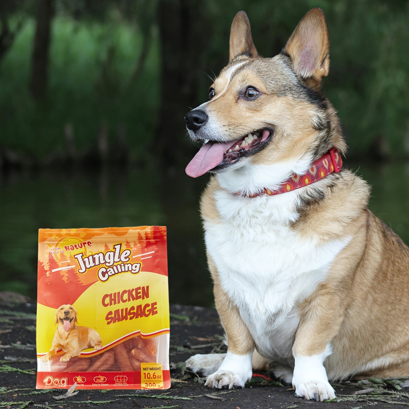 Chicken Jerky Sausage Dog Treats Slow Roasted Chewy Training Snack High-Protein Natural Reward for Medium Large Dogs 21oz 31oz