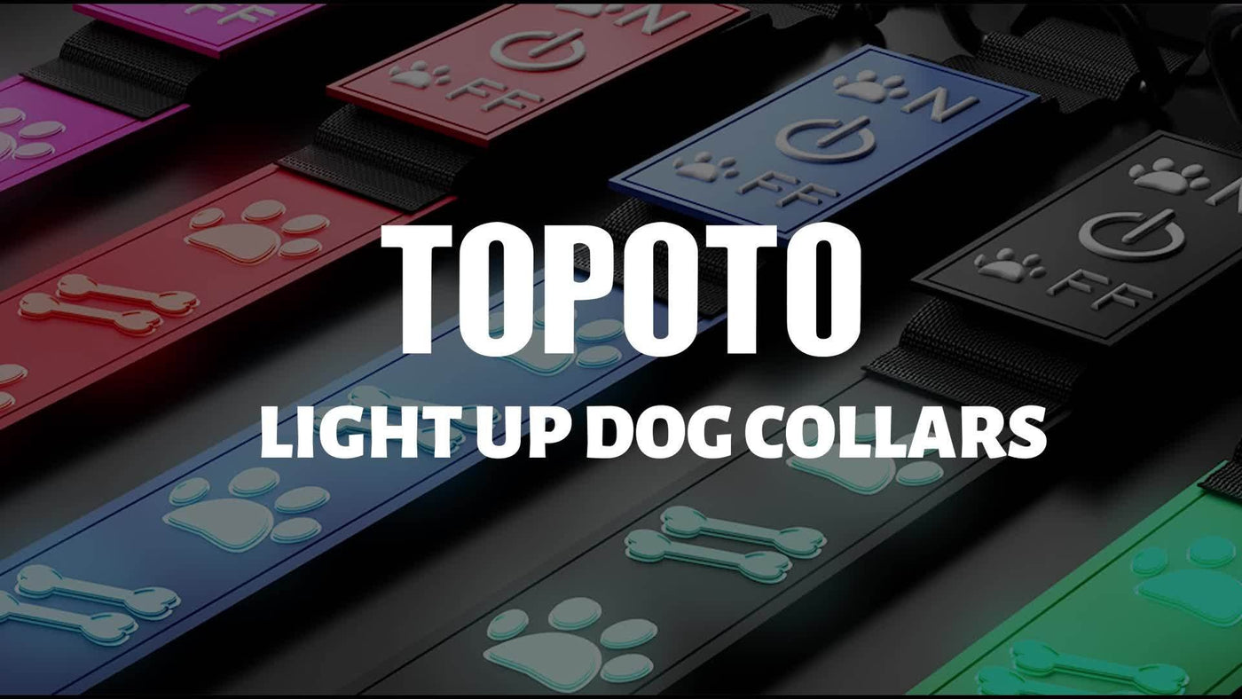 LED Dog Collar USB Rechargeable with 15 Light Modes – Adjustable Glow Safety Collar for Nighttime Walks, Soft 3D Flash Pet Collar for All Dog Sizes, Green Blue Pink Red Black