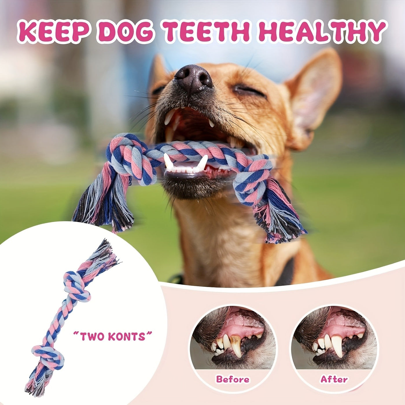 Puppy Chew Toy Set with Squeaky Balls Tug of War & Rope Toys - Teeth Cleaning Dog Toy Pack for Puppies & Small Dogs 6/12/19 Piece
