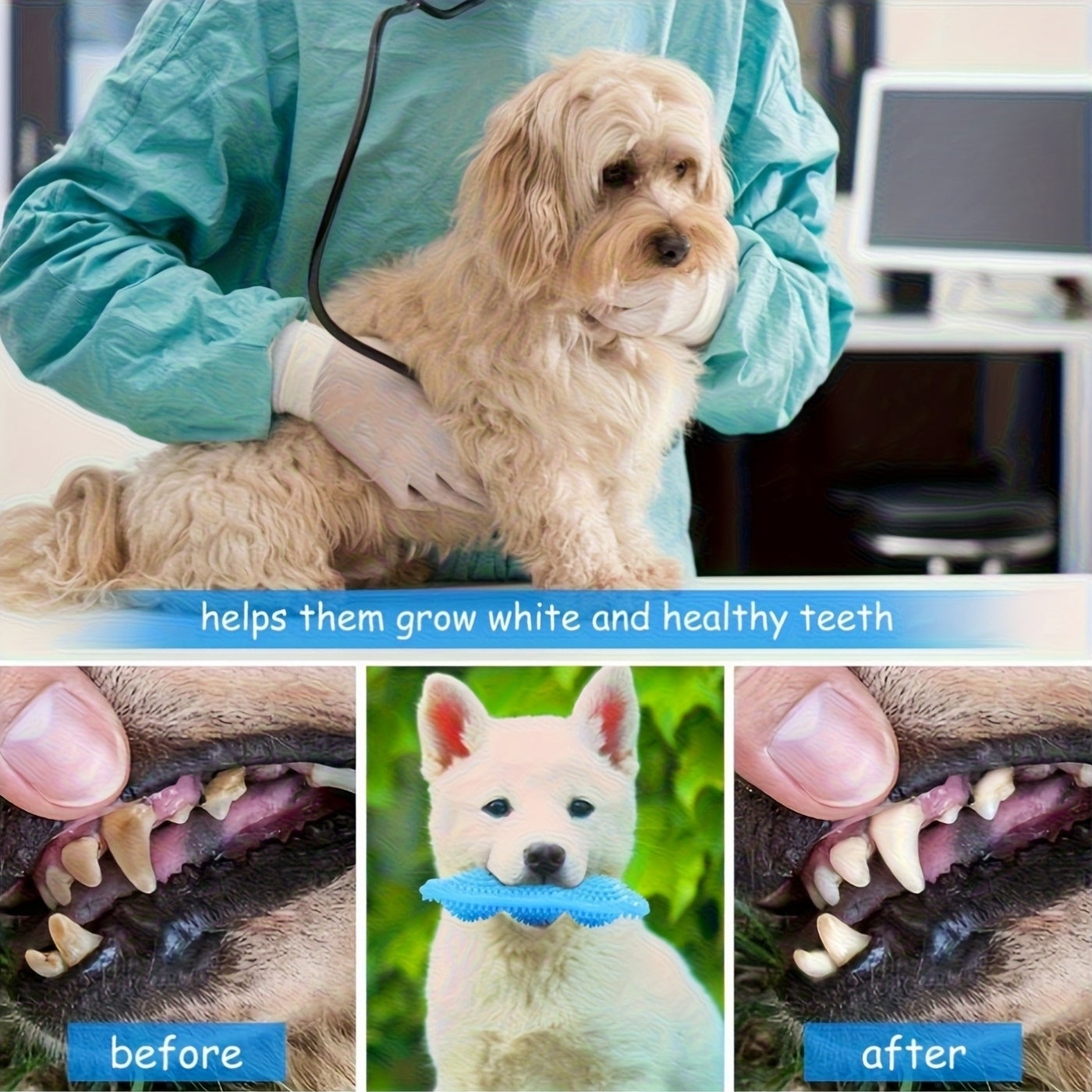 Puppy Chew Toy Set with Squeaky Balls Tug of War & Rope Toys - Teeth Cleaning Dog Toy Pack for Puppies & Small Dogs 6/12/19 Piece