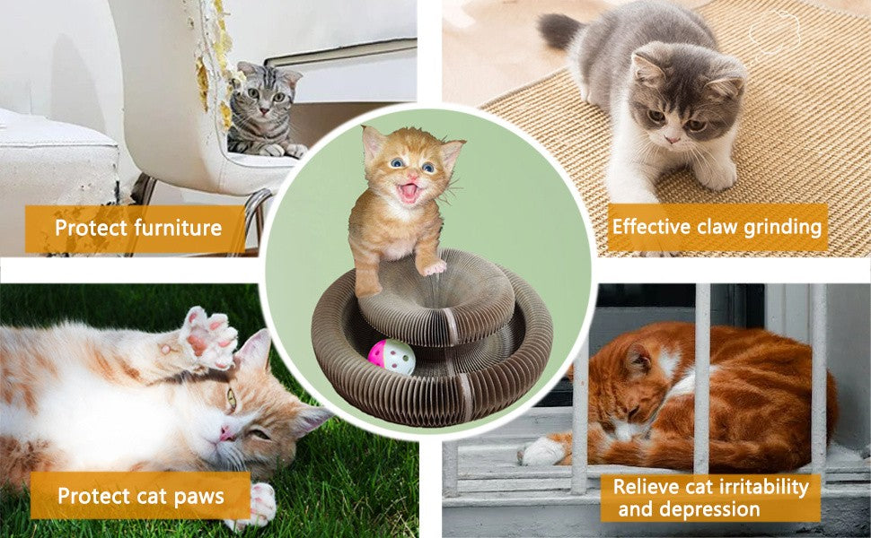 Foldable Cat Scratch Board Organ Shape – Multi-Position Cardboard Scratcher with Magnetic Closure, Catnip Compatible, Durable Interactive Cat Toy
